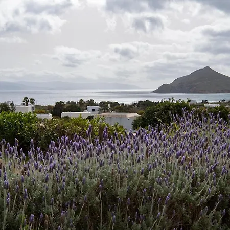 House Kohyli 5d Paros * Isterni (Paros)