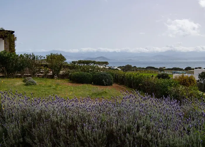 House Kohyli 5d Paros Feriehus Isterni (Paros)