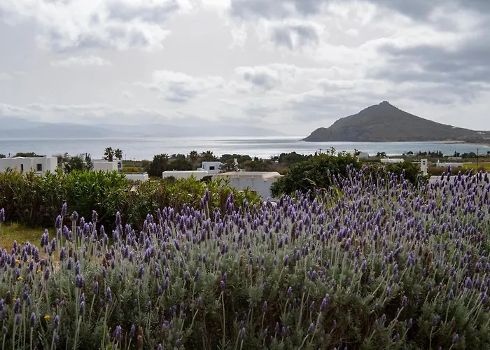 House Kohyli 5d Paros * Isterni (Paros)